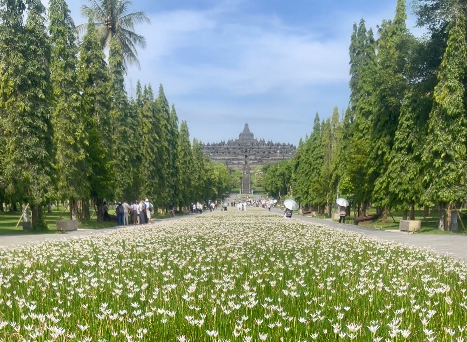 Borobudur 6
