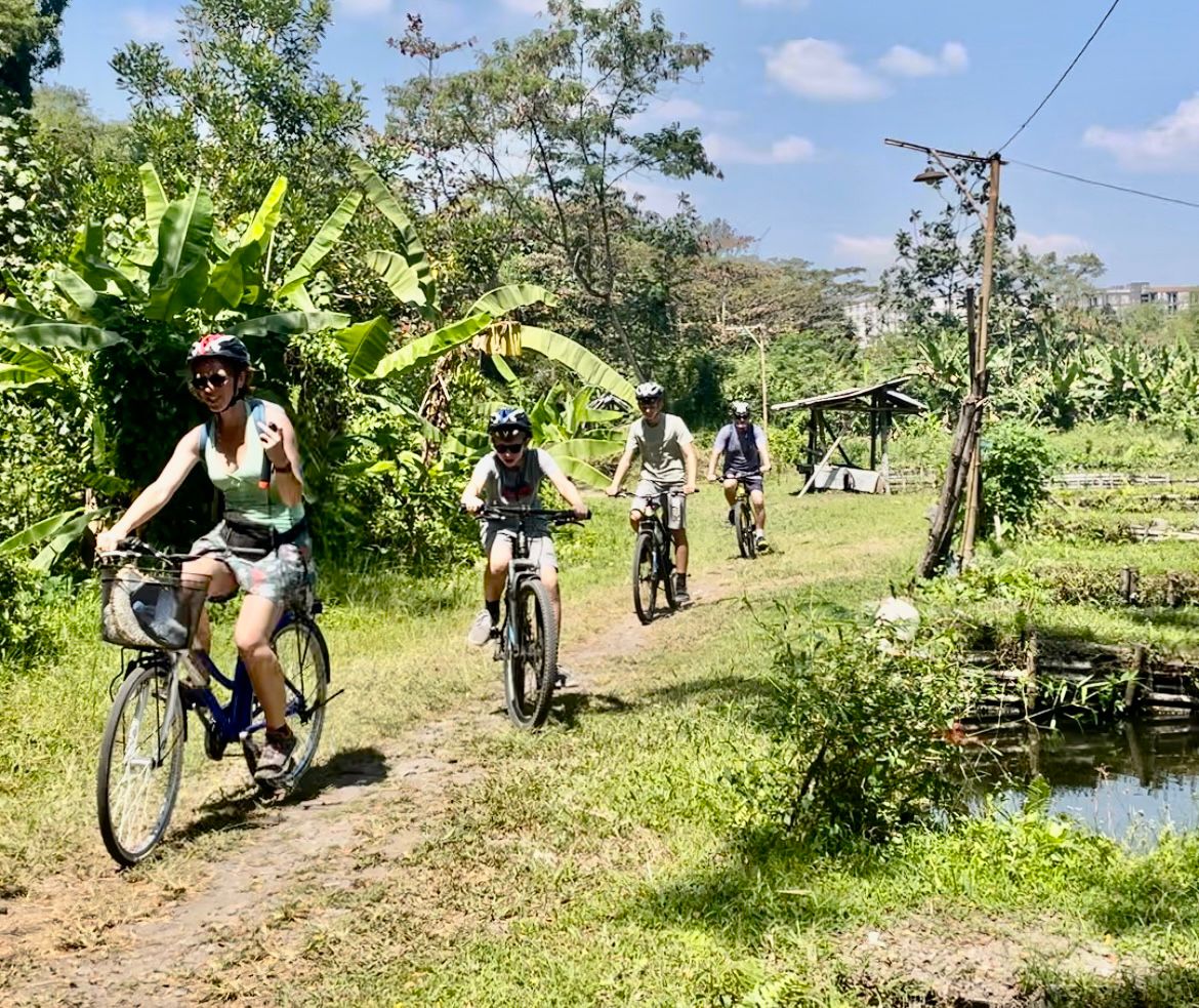 Cycling Rice Field