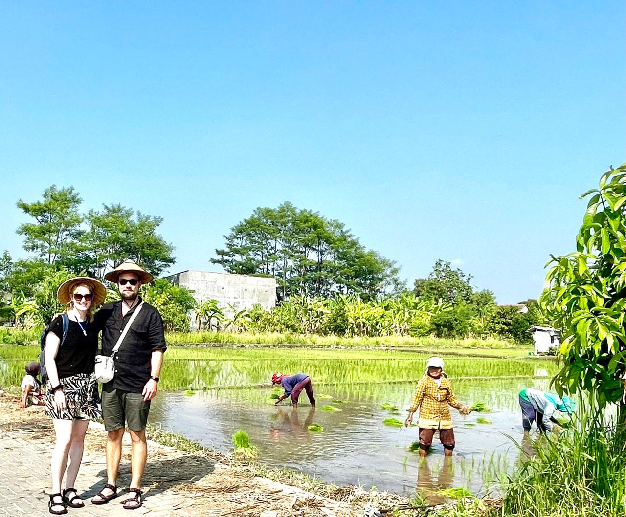 Cycling Rice Field